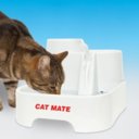 Cat Mate Fresh Water