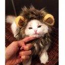 Lion Mane Cat Costume