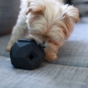 The Odin Dog Treat Puzzle Toy
