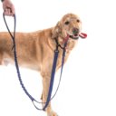 We For Dogs Leash