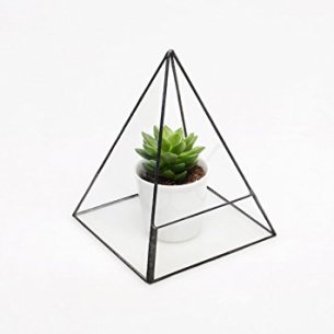Modern Glass Pyramid Tabletop Succulent Plant Terrarium Box