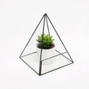 Modern Glass Pyramid Tabletop Succulent Plant Terrarium Box