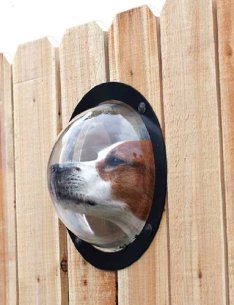 Fence Window for Pets