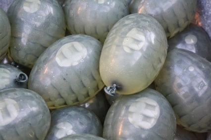 Water Grenade Balloons