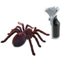 Remote Control Realistic Spider