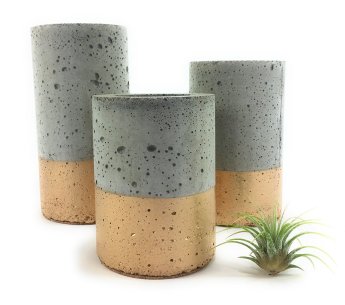 Concrete Succulent Planters