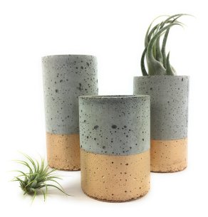 Concrete Succulent Planters