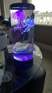 Jellyfish Lamp Aquarium