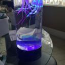 Jellyfish Lamp Aquarium