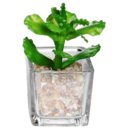 Modern Clear Glass Planter Pot Faux Plants