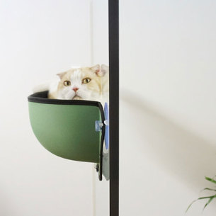 Window Bed for Cats