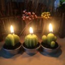 Cactus Candles for Home Decor