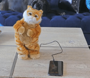 Purrfect Moves: Unleashing the Power of a Cat Dancing Speaker