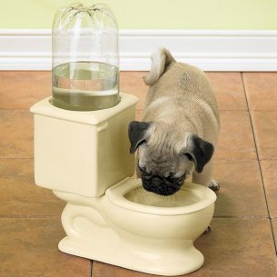 Dog and Cat Toilet Bowl
