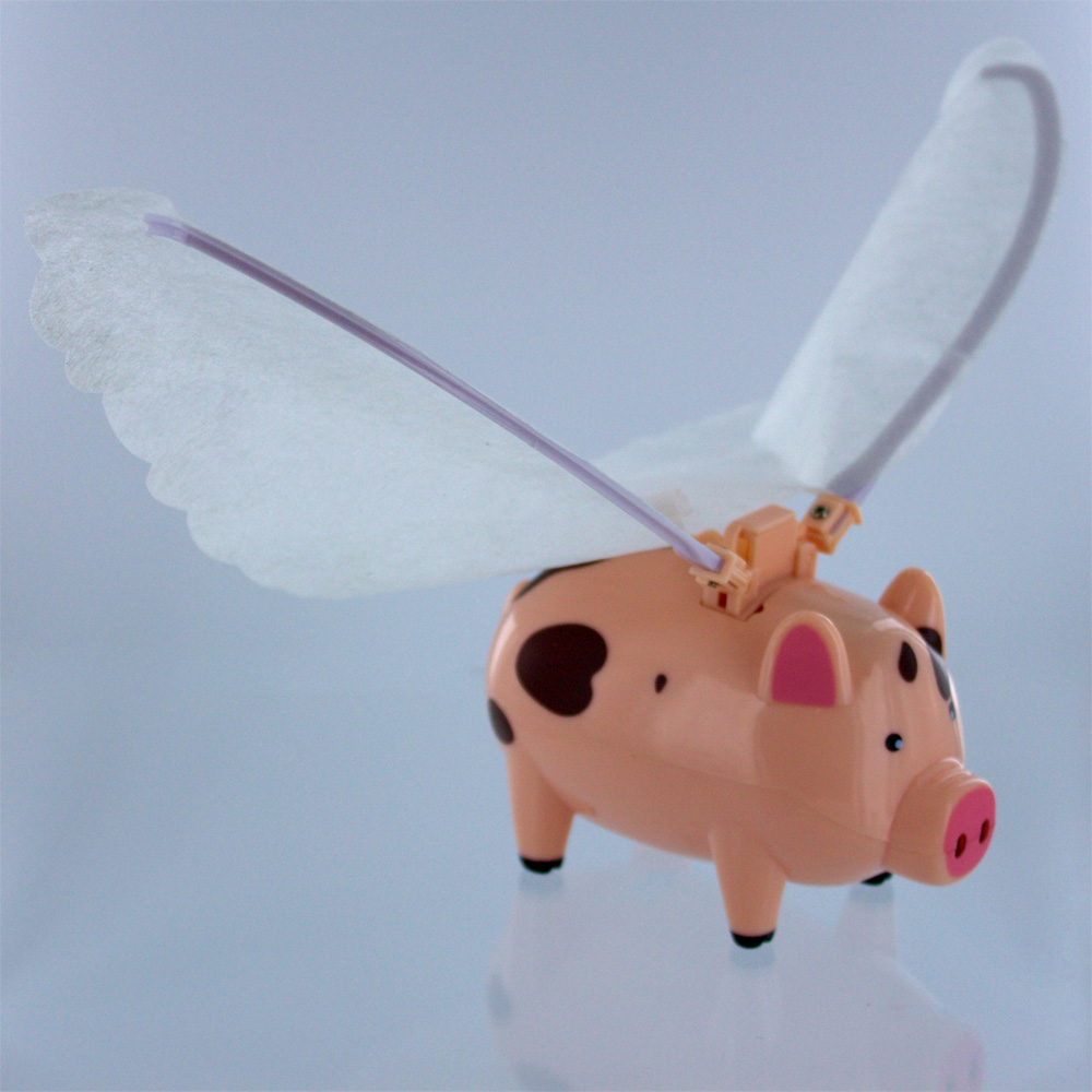 Летающая свинка. Летающая Свинка Hamleys. Игрушка Hamleys летающая свинья. Поросенок с крыльями игрушка.