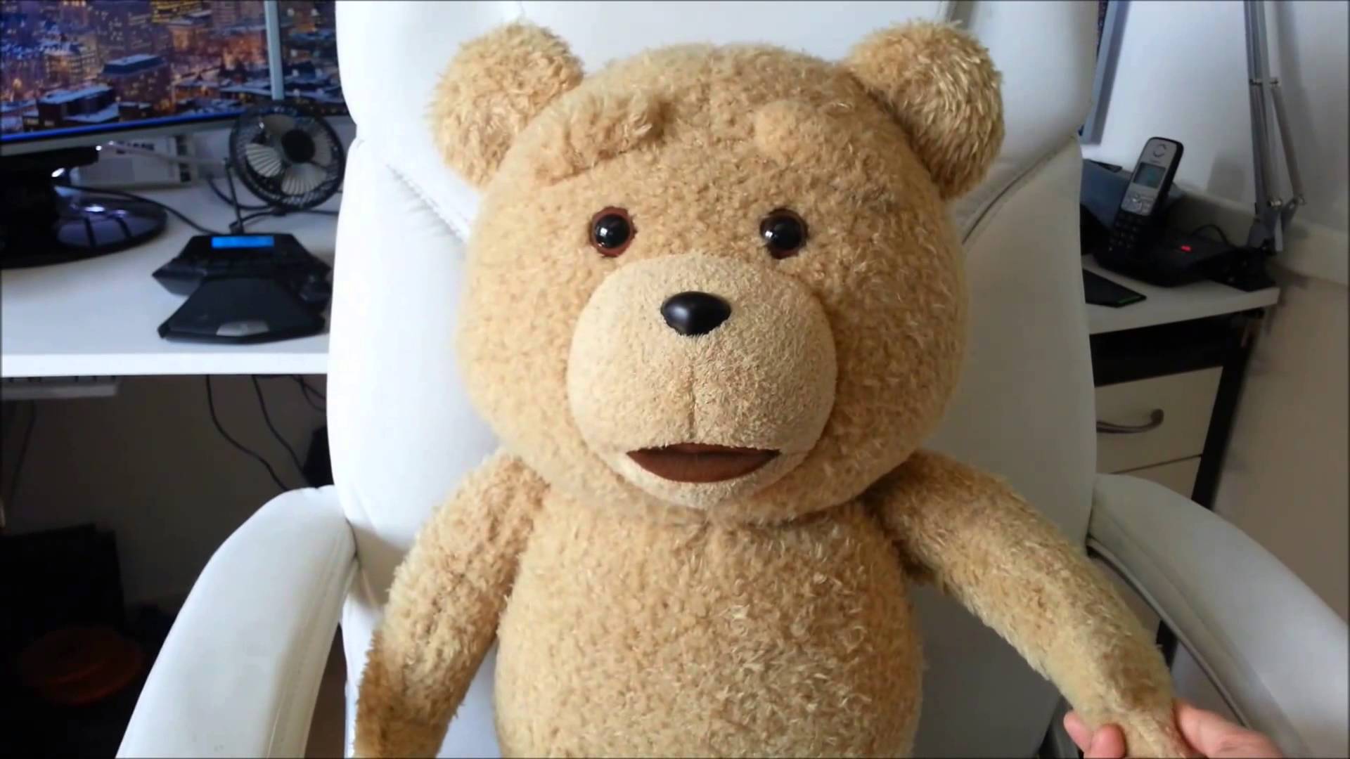 ted stuffed animal