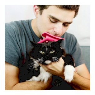 Tongue Cat Brush