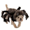 Tarantula Dog Costume: Eight-Legged Fun for Your Pup!