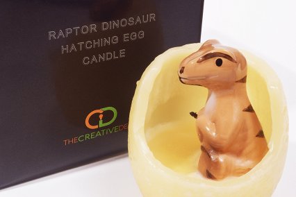 Raptor Dinosaur Hatching Egg Candle