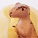 Raptor Dinosaur Hatching Egg Candle